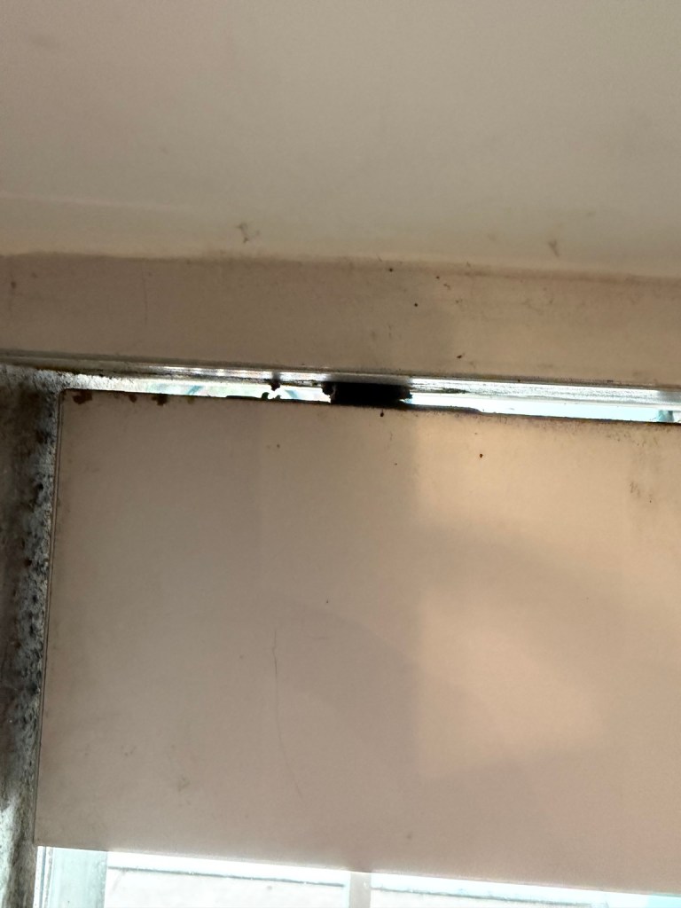 Herculite Glass Door — After Adjustment